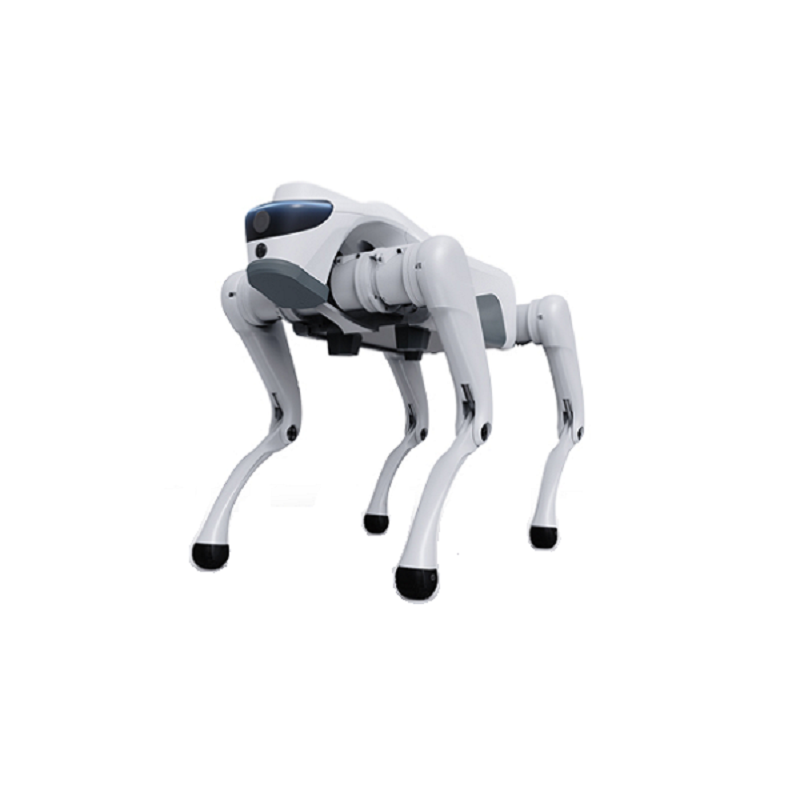 Hvordan kan en firedobet robot transformere moderne industrielle og intelligente applikasjoner?